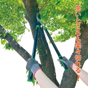 枝切りバサミ 枝切りハサミ 長さ調整可能 楽々...の詳細画像2
