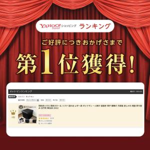 【複数買いにお得】送料別価格 座れる 収納ボッ...の詳細画像1