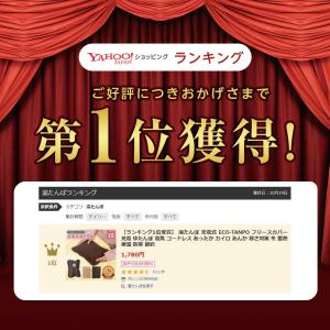 湯たんぽ 充電式 ECO-TANPO エコたん...の詳細画像1