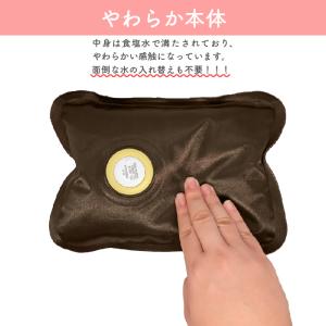 湯たんぽ 充電式 ECO-TANPO エコたん...の詳細画像5