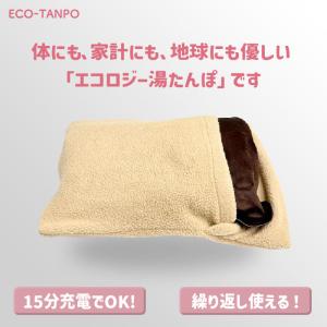 湯たんぽ 充電式 ECO-TANPO エコたん...の詳細画像2