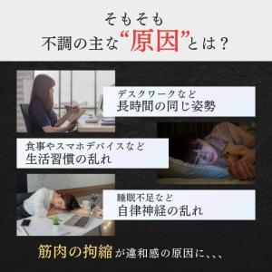 【正規品】ペルビス 骨盤職人 PV01 木製 ...の詳細画像4