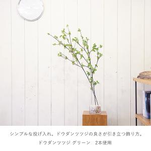 【公式】【当日出荷】ドウダンツツジ グリーン ...の詳細画像5