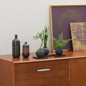 【公式】モミジ 檜炭ボール(黒皿) CUPBO...の詳細画像2