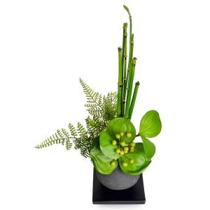 【公式】トクサ 寄せ植え 檜炭ボール(黒皿) ...の詳細画像5