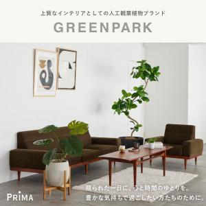 【公式】プミラ ウォーターキューブ 観葉植物 ...の詳細画像5