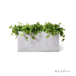 【公式】ポトス テラメント W100cm パー...の詳細画像1