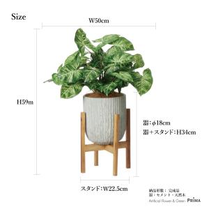 【公式】カラジウム オベリスポット 脚付 H5...の詳細画像5