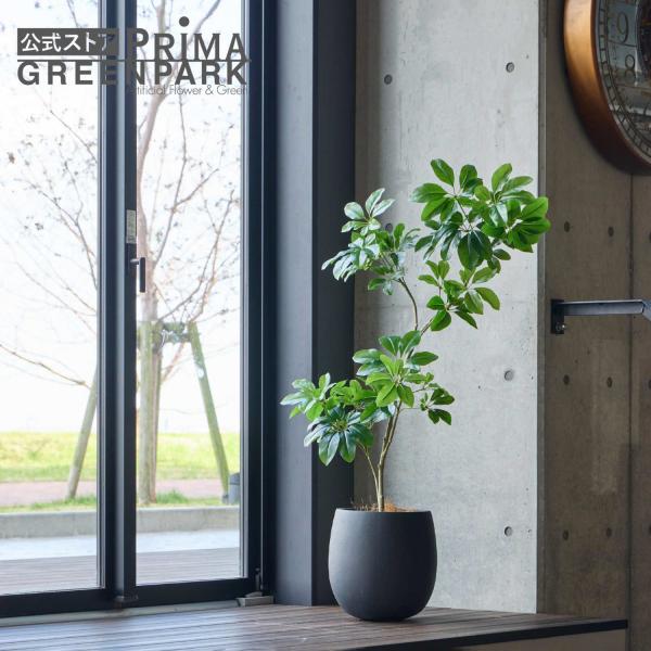 【公式】シェフレラ エッグポット H125cm 観葉植物 フェイクグリーン  eco 【別倉庫直送品...