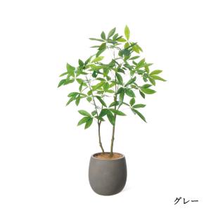 【公式】パキラ エッグポット H130cm 観...の詳細画像1