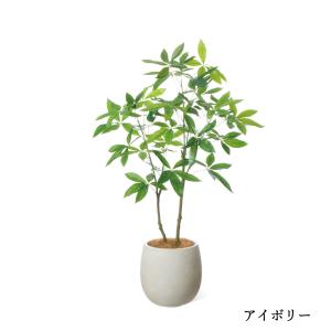 【公式】パキラ エッグポット H130cm 観...の詳細画像2