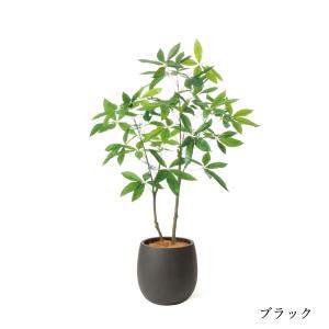 【公式】パキラ エッグポット H130cm 観...の詳細画像3