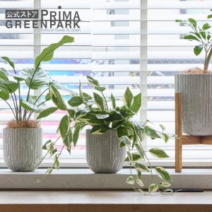 【公式】サクララン ホヤ オベリスポットS 観葉植物 フェイクグリーン | GREENPARK 人工観葉植物 造花 おしゃれ リアル