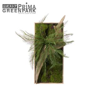 【公式】流木 苔フレーム シダ 観葉植物 フェイクグリーン | GREENPARK 人工観葉植物 造花 おしゃれ リアル