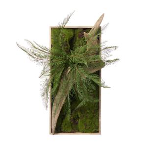 【公式】流木 苔フレーム シダ 観葉植物 フェ...の詳細画像1