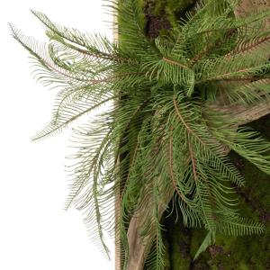 【公式】流木 苔フレーム シダ 観葉植物 フェ...の詳細画像3