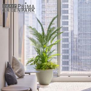 【公式】アレカヤシ ボウル 下草付 H190cm 観葉植物 フェイクグリーン 【別倉庫直送品】 | GREENPARK 人工観葉植物 造花 おしゃれ リアル