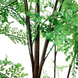 【公式】シダ カーブポット H190cm 観葉...の詳細画像4