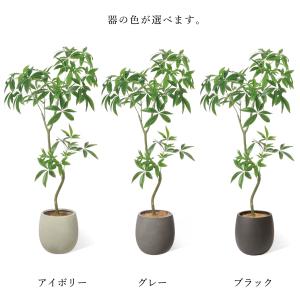 【公式】パキラ エッグポット H155cm 観...の詳細画像4