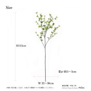 【公式】ドウダンツツジ フレッシュグリーン H...の詳細画像4