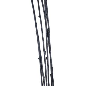 【公式】カラーツイグ 枝 ブラック 単品花材 ...の詳細画像2