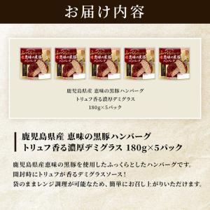 プリマハム 鹿児島県産 恵味の黒豚ハンバーグ ...の詳細画像1