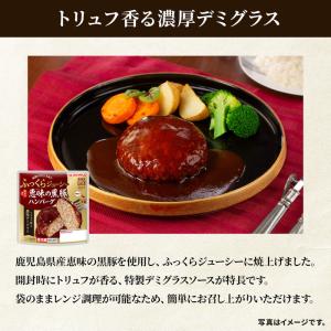 プリマハム 鹿児島県産 恵味の黒豚ハンバーグ ...の詳細画像2