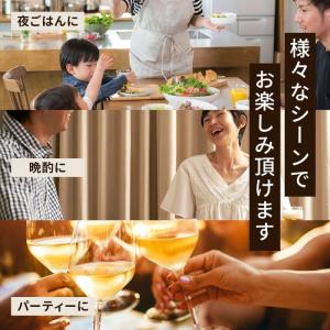 プリマハム 鹿児島県産 恵味の黒豚ハンバーグ ...の詳細画像4