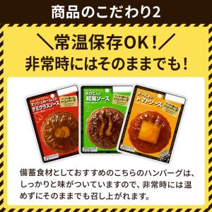 ハンバーグ ソースで食べるハンバーグ きのこ入...の詳細画像3