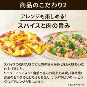 サラミ ドライソーセージ カルパス おつまみ ...の詳細画像3