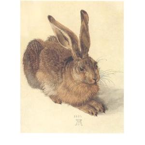 ポストカード　アルブレヒト・デューラー   2148