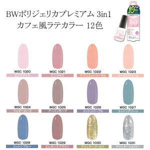 ビューティーワールド BW ポリジェリカ プレミアム カラージェル 3in1 ベース＆トップ不要 ジェルネイル 12種 6g WGC 【メール便2個までOK】｜primavera84