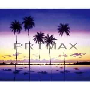 ゴールデンモーメント/ジョン・ラッテンベリー 正規品 ジクレ : プライ