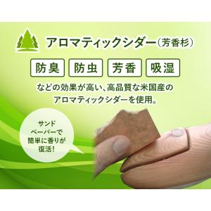 【レビュー投稿で500円クーポンGET】ドルチ...の詳細画像1