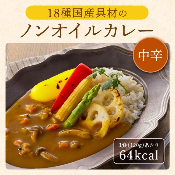 ノンオイルカレー 18種国産具材のノンオイルカレー 120g×2袋  Mather&apos;s Market...