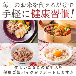 ご飯パック 120g 24食 5種 金賞の一膳...の詳細画像2