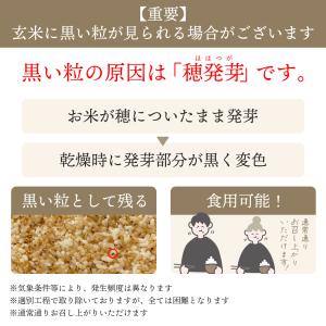 ご飯パック 120g 24食 5種 金賞の一膳...の詳細画像1