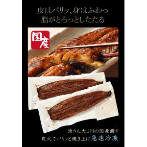 国産うなぎ 4尾 地焼き 秘伝のタレ うなぎ四...の詳細画像3