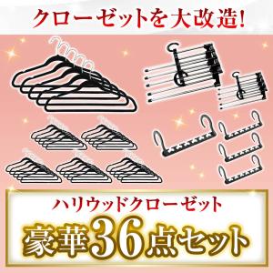 販売終了ハリウッドクローゼット ハンガーセット プライムダイレクト