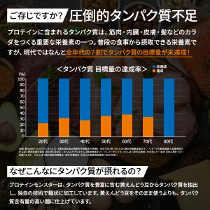 【新発売】プロテインモンスター 10食 高たん...の詳細画像3