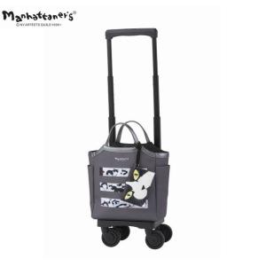 SWANY（スワニー） キャリーバッグ 公式 ショッピングカート キャリー