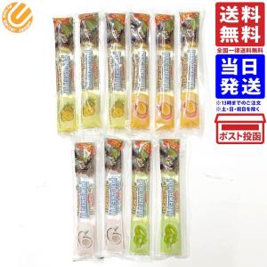 トロピカル スティック シャーベット 4種10本セット パインアップル マンゴー キウイ ココナッツ