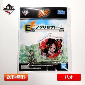 BANDAI（バンダイ） 【送料無料】シャーマンキング E賞『アイアン