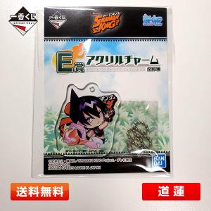 BANDAI（バンダイ） 【送料無料】シャーマンキング D賞『道 蓮＆馬孫
