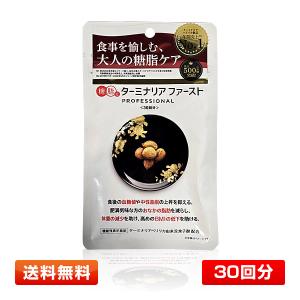 ○ターミナリアファースト プロフェッショナル4 タブレットタイプ 30