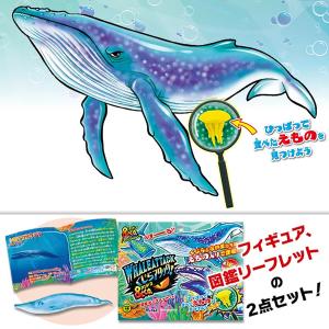【コンプリートセット】くじらアタック&Co.(...の詳細画像1