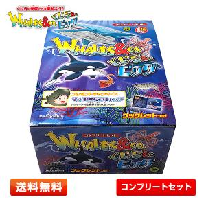 くじら＆Co.ビッグ 全16種セット WHALES＆Co. クリスマスプレゼントにオススメ[子供/キッズ/おもちゃ/ラッピング可]