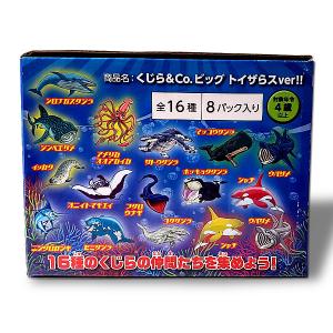【1BOX/8袋】くじら&Co.ビッグ (トイ...の詳細画像1