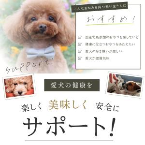 国産 鶏ささみジャーキー 40g【犬のおやつ】...の詳細画像1