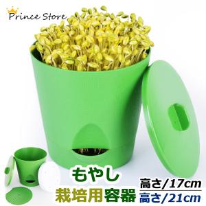 もやし 栽培 スプラウト 水耕 容器 家庭 キッチン 楽しい